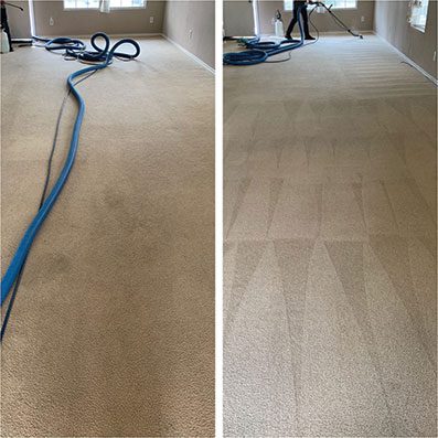 Two pictures of a room with carpet being cleaned.