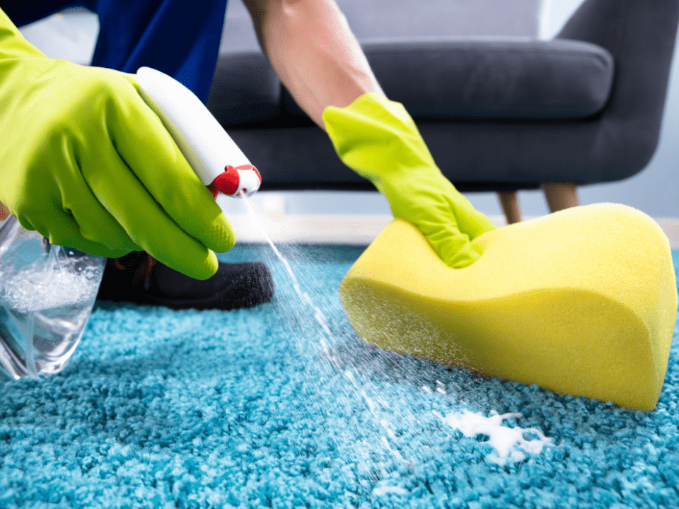 A person spraying the carpet with a spray bottle.
