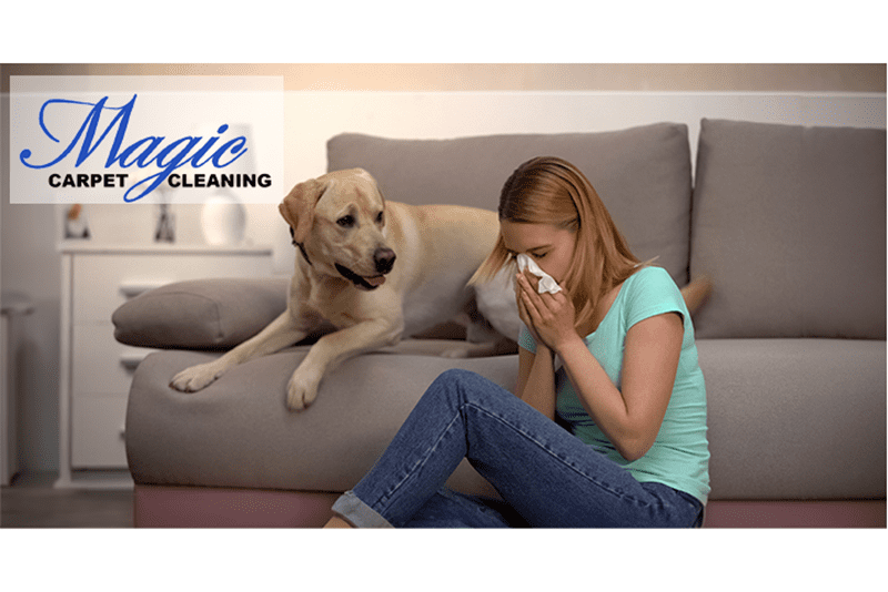 A woman sitting on the couch with her dog.